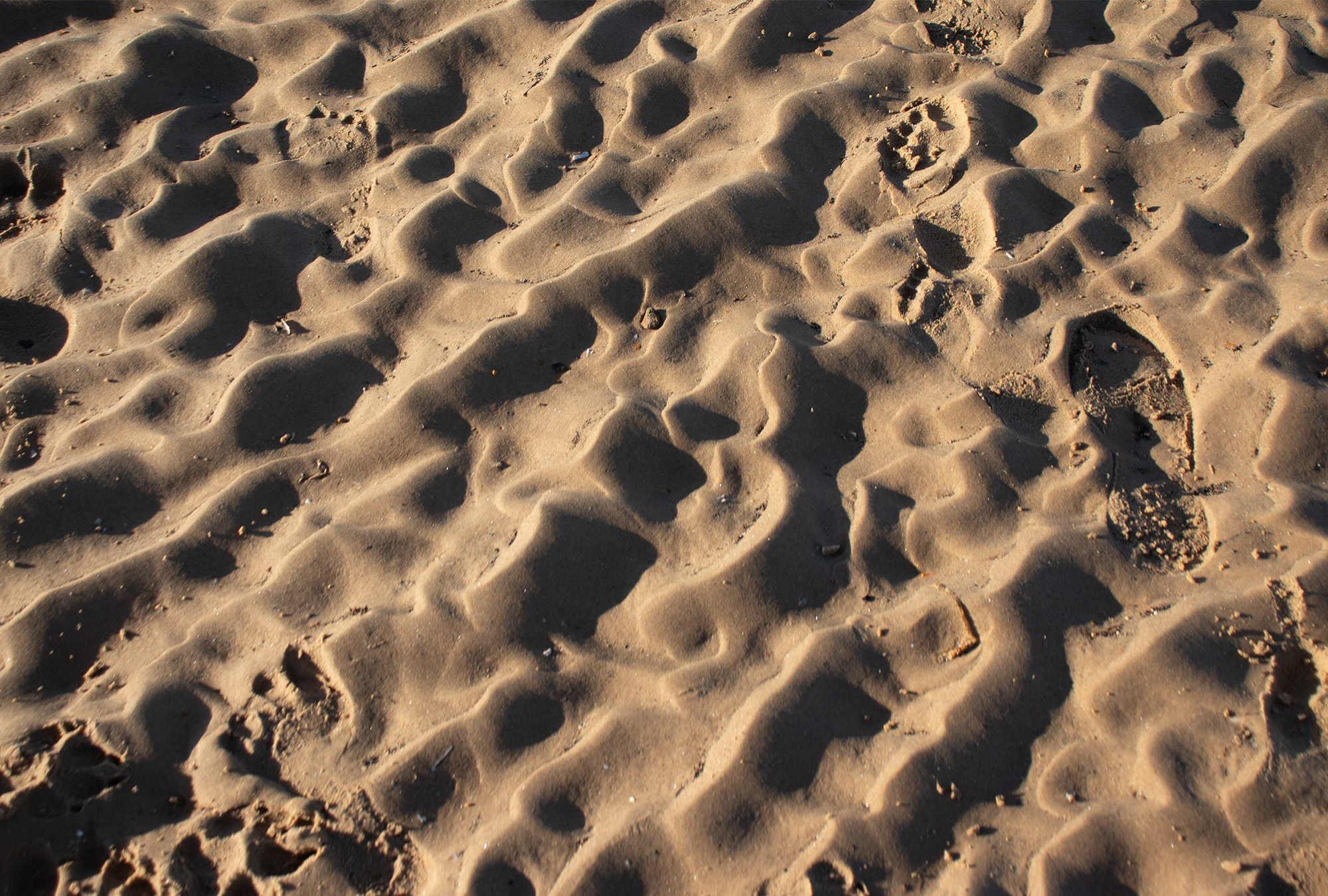 dunes